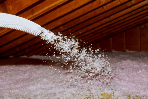 Best Residential Insulation in Dollar Bay, MI