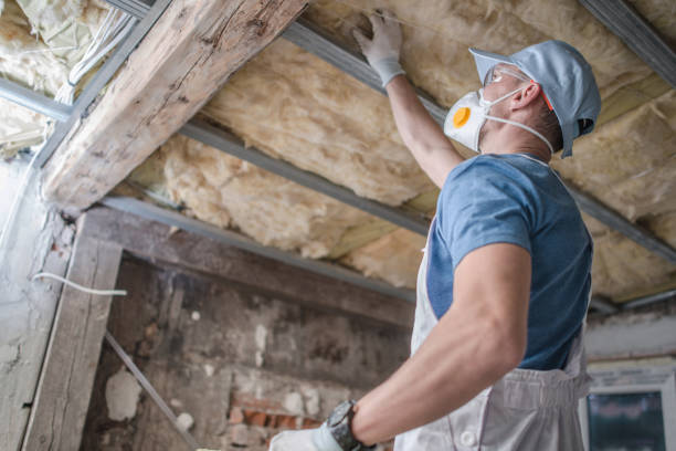 Professional Insulation Contractor in Dollar Bay, MI