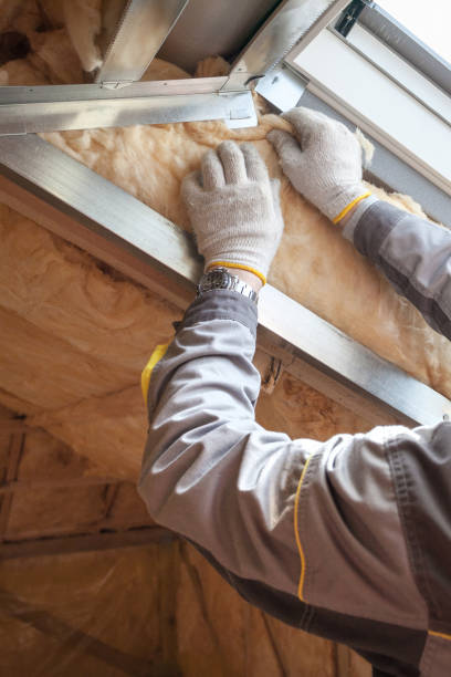 Best Insulation Maintenance and Repair in Dollar Bay, MI