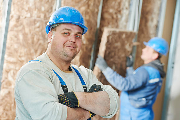 Best Geographic-Specific Insulation Services in Dollar Bay, MI